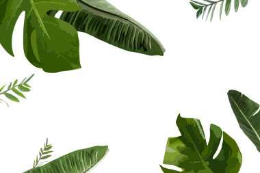 Botanik çerçeve PNG clipart kenarı, yeşil muz yaprağı şeffaf arkaplan