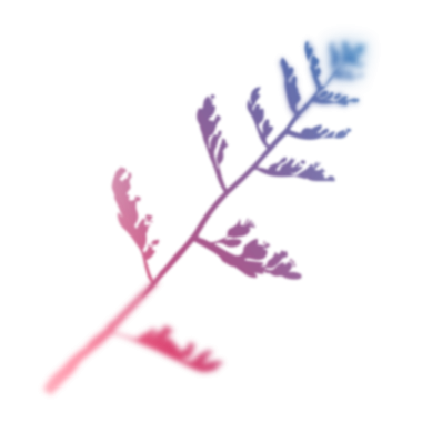 Gradyan yaprak png etiketi, şeffaf arkaplan