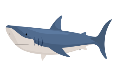 Mavi köpekbalığı png etiketi, sevimli illüstrasyon, şeffaf arkaplan