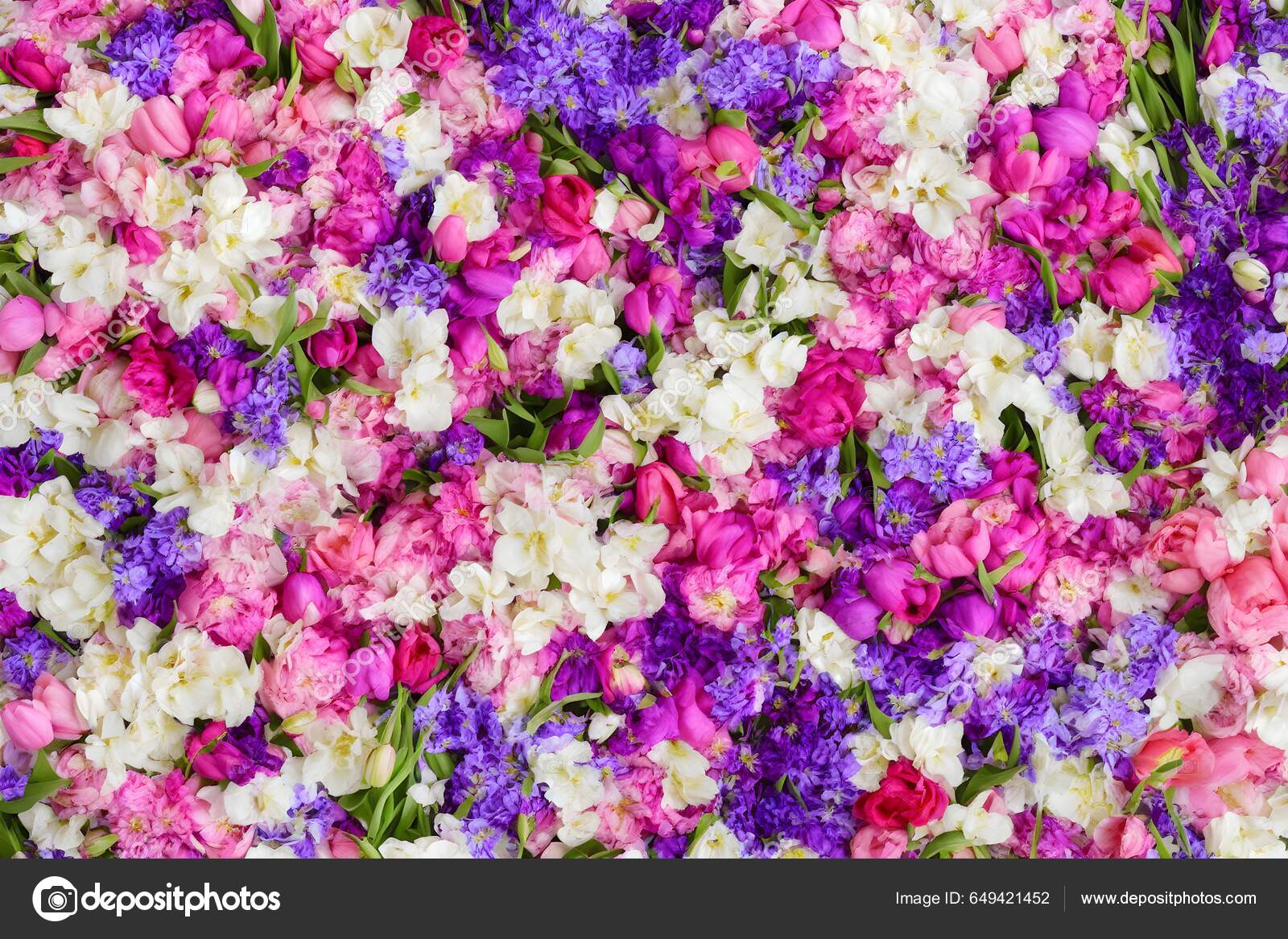 Floral background Stock Photos, Royalty Free Floral background ...