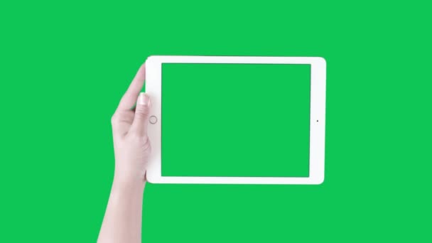 緑の画面でタブレットで検索する女性は — ストック動画
