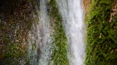 Yeşil yosun üzerinde akan şelale