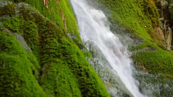 Wasserfall Fließt Über Grünes Moos — Stockvideo