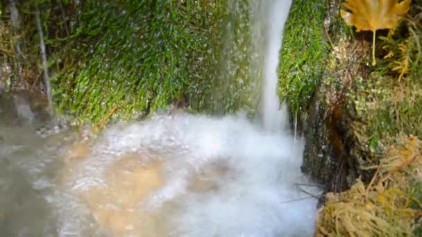 Waterfall Flowing Green Moss — Stock Video