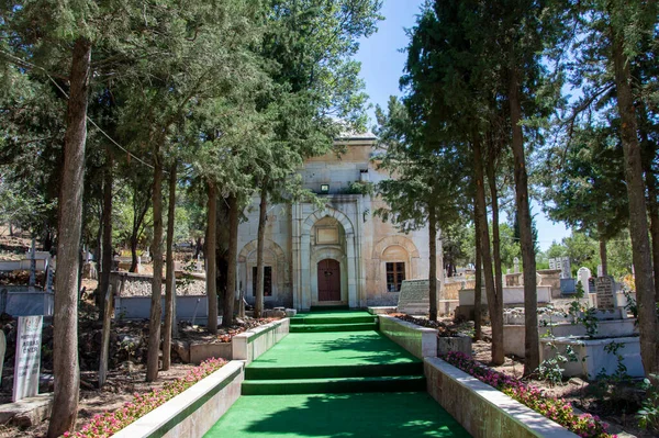 Ağaç yolu ve tarihi cami