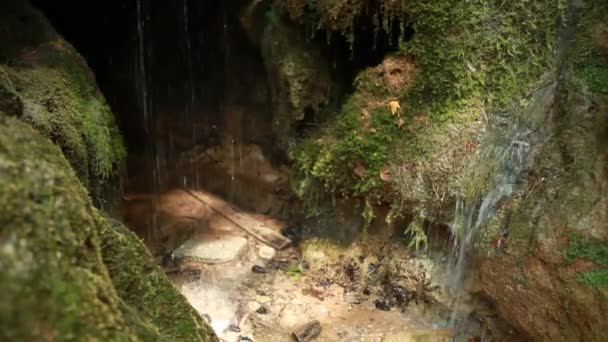 Duży Wodospad Pokryty Mchem — Wideo stockowe