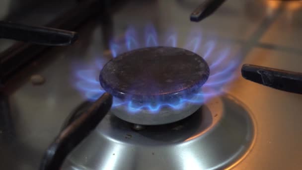Gas Burning Kitchen Gas Stove — Stock Video