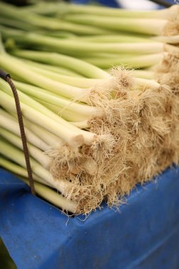 leeks waiting on the market shelf