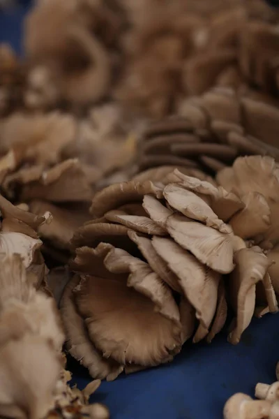 Embalagem Cogumelos Mercado — Fotografia de Stock