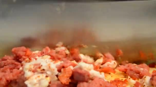 Preparing Kebab Big Knife – Stock-video