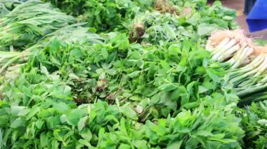 edible herbs at farmers market