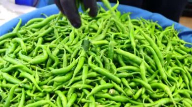 green peppers at the farmer's market