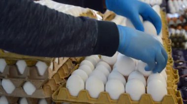 chicken eggs at farmer's market