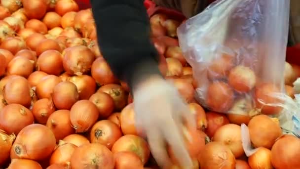 Onions Market Stall — стоковое видео