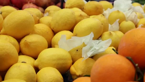 Fresh Lemons Farmer Market — Stock video