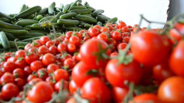 Tomato Counter Farmers Market — Wideo stockowe