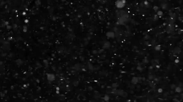 Yağan Kar Taneleri Kar Arkaplanı Kış Taneleri Yıldız Parıltısı Noel — Stok video