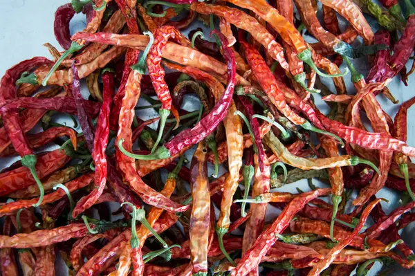 Kurutulmuş kırmızı kırmızı kırmızı biber.