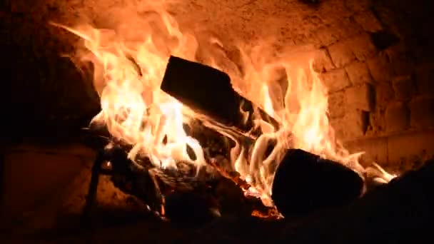 Lamb Meats Cooked Wood Fire Oven — Vídeos de Stock