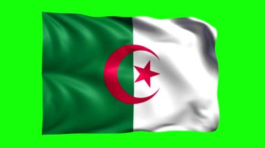 yeşil ekran animasyon Cezayir bayrağı