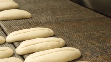 Ekmek Parası Ekmek Fırınına Geldi