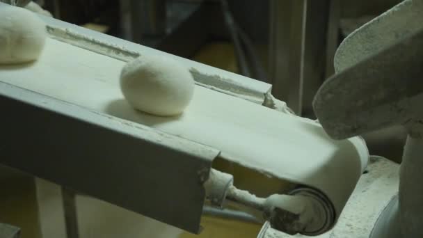 Machines Bread Making Process — Stock Video