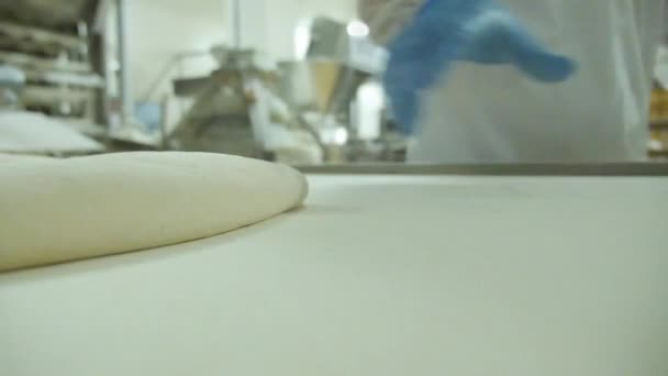 パンの製造プロセスの機械 — ストック動画