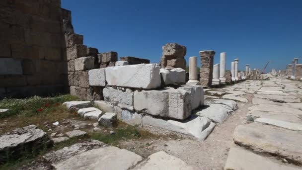 Antica Città Laodicea Emersa Dopo Gli Scavi Archeologici — Video Stock