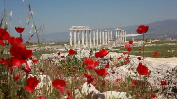 Den Antika Staden Laodicea Som Uppstod Efter Arkeologiska Utgrävningar — Stockvideo