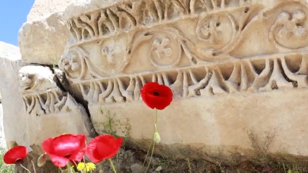 Древний Город Лаодикия Возникший После Археологических Раскопок — стоковое видео