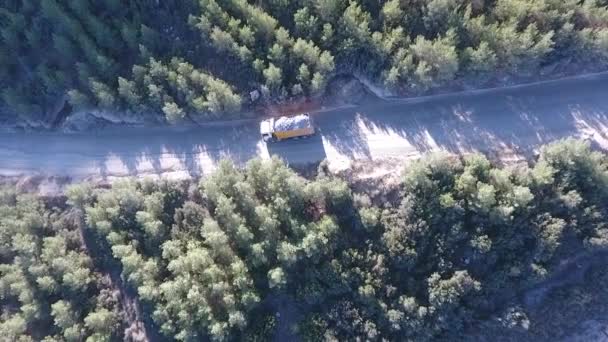 Ağaçların Arasında Yolda Taş Taşıyan Bir Kamyon — Stok video
