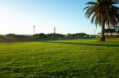 Boş bir parktaki yeşil çimlerin arka plan dokusu deniz kenarında yol boyunca park edilmiş arabalarla dolu. Güney Brighton, SA Adelaide. Tasarımınız için alanı kopyalayın. Avustralya Şehir Parkı.