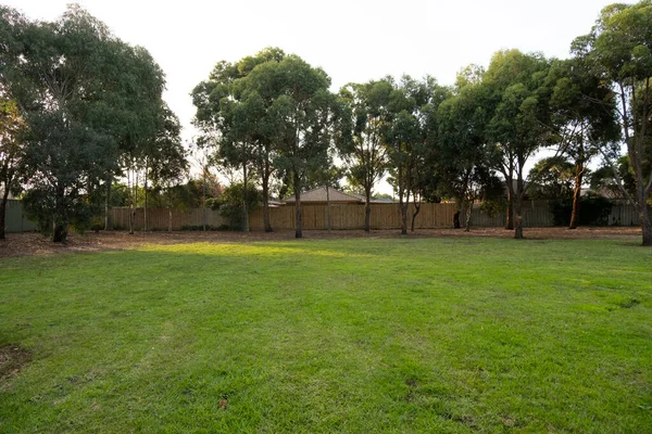 背景纹理是一片空旷的草坪 后面是一些澳大利亚树胶 桉树和郊区房屋的木制篱笆 住宅区内的地方公园内的公共场地 — 图库照片