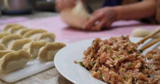 Close Raw Pork Mince Making Homemade Handmade Dumplings Hands Making — Stock Video