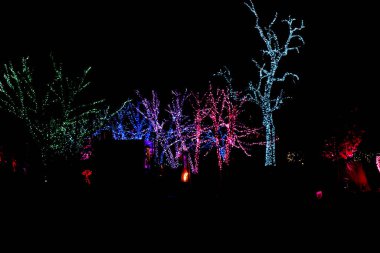 Columbus Ohio 5 Aralık 2023 Noel ışıkları Franklin Park Konservatuarında sergileniyor..