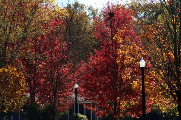 Columbus Ohio 15 Ekim 2024 Sonbahar sezonu Sonbahar sezonu boyunca yaprakların renginin değiştiğini gösteriyor..