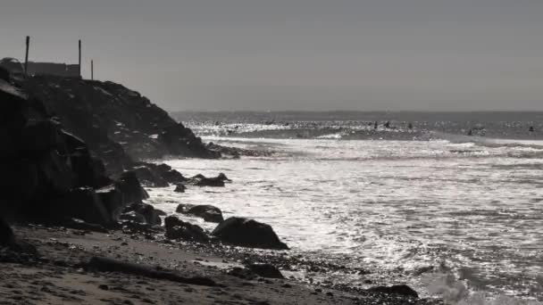 Autumn Waves Surfing Pacific Coast California — Stock Video