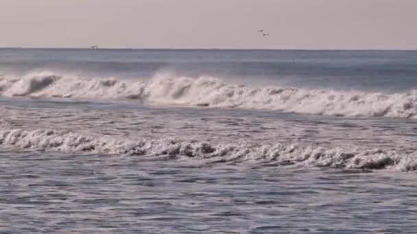 カリフォルニア太平洋海岸 — ストック動画