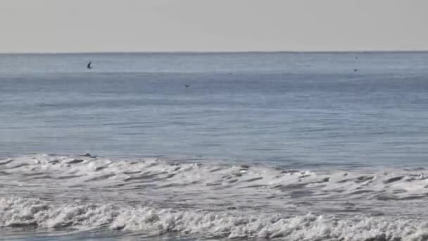 Осенние Волны Серфинг Тихоокеанском Побережье Калифорнии — стоковое видео