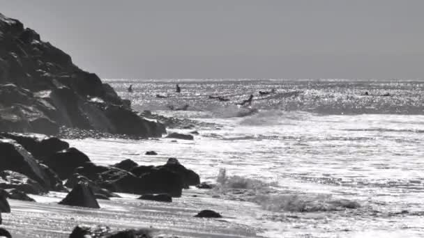Valuri Toamnă Surfing Coasta Pacificului Din California — Videoclip de stoc