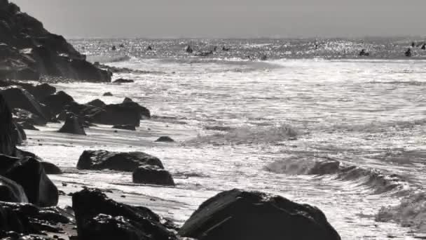 カリフォルニアの太平洋岸での秋の波とサーフィン — ストック動画
