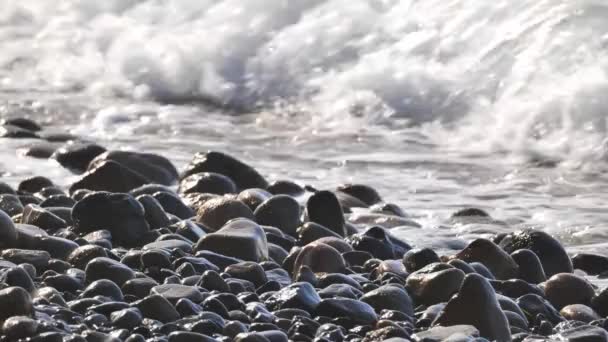 加州太平洋海岸 — 图库视频影像