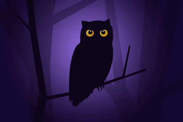A little owl sits on a branch in the night forest. Thousands of eyes are watching you in the night forest, but you cannot see anyone.