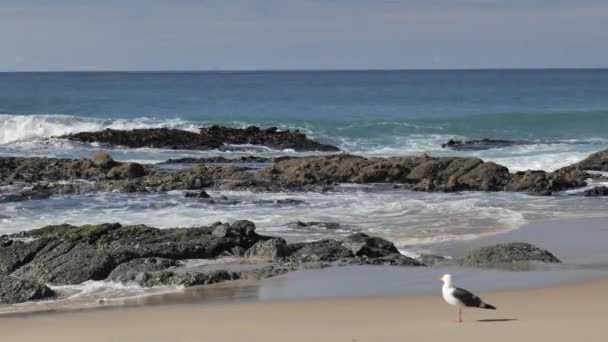 Kaliforniya Nın Pasifik Sahili Nde Hava Güzel — Stok video