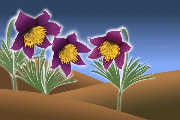 Pulsatilla pratensis, Avrupa 'da yetişen bir bitkidir. Tıbbi ve dekoratif değeri var..
