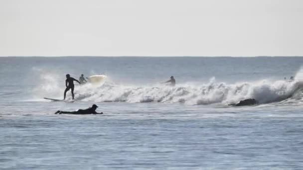 Surf Invierno Costa Del Pacífico California — Vídeos de Stock