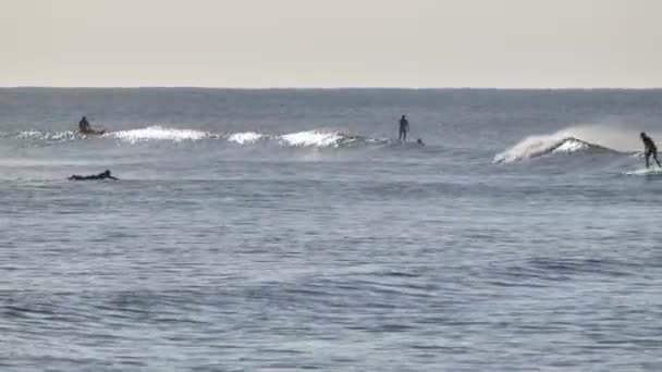 Surf Invierno Costa Del Pacífico California — Vídeos de Stock