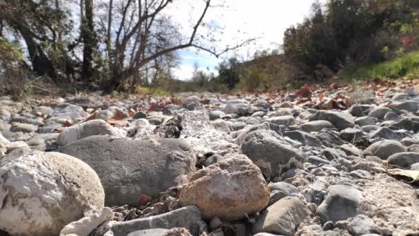 Invierno Seco Lecho Rocoso Del Río California — Vídeo de stock