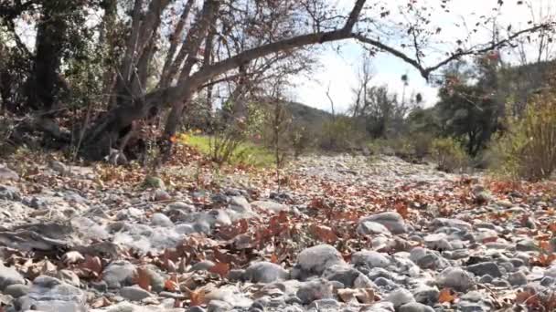 Winter Droge Rotsachtige Rivierbedding Californië — Stockvideo