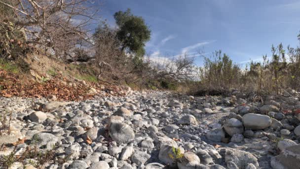 加利福尼亚冬季干岩河床 — 图库视频影像
